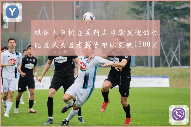 媒体人分析吉莱斯皮与谢泼德的对比后认为后者薪资难以突破1500万
